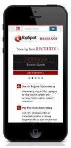 TopSpot_iPhone