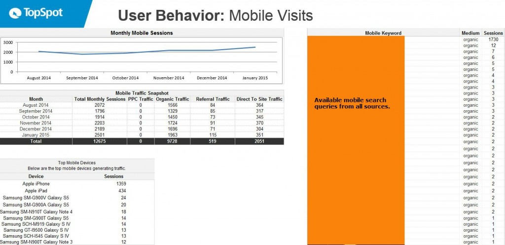 TopSpot's Mobile Visit Data topspot-mobile-tab