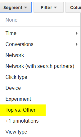 Top vs Other Report Segment
