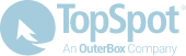 TopSpot alt logo
